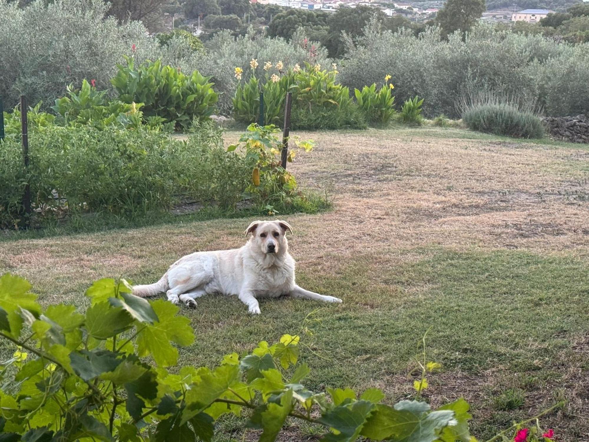 Casa Rural La Recuera Montánchez エクステリア 写真